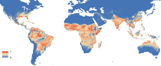 Distribution of the Aedes Aegypti Mosquito