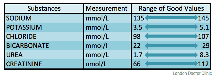 Function test renal Renal function