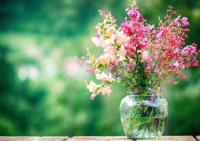 hay-fever-avoid-fresh-flowers