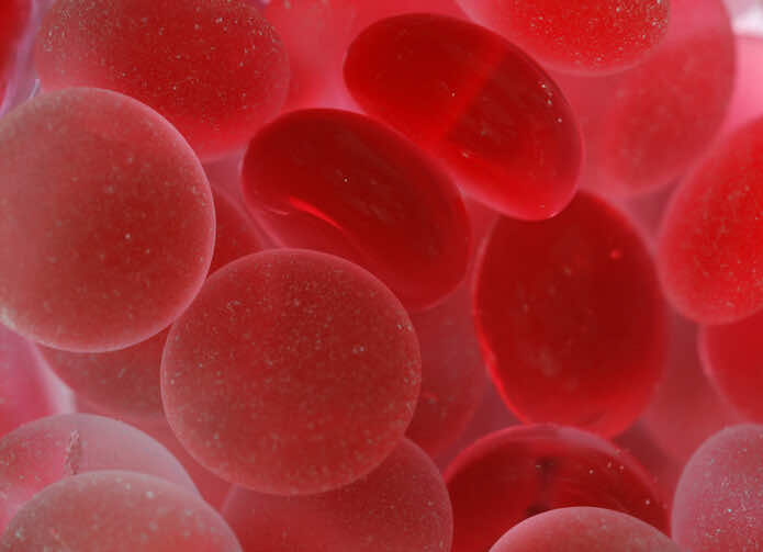 anaemia-blood-cells