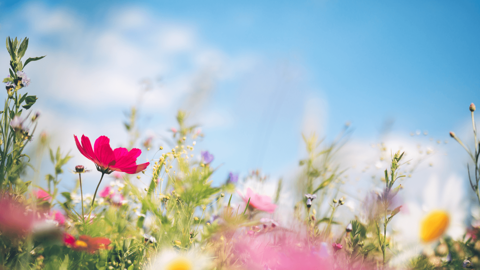 spring health tips for staying active outdoors